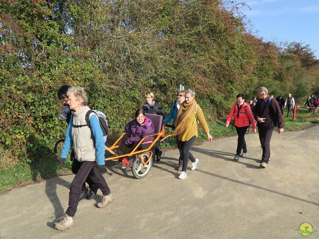 Randonnée joëlettes à Ramillies