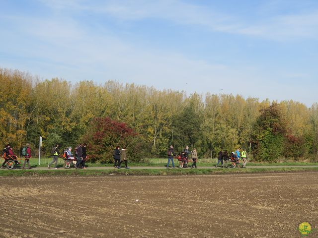 Randonnée joëlettes à Ramillies