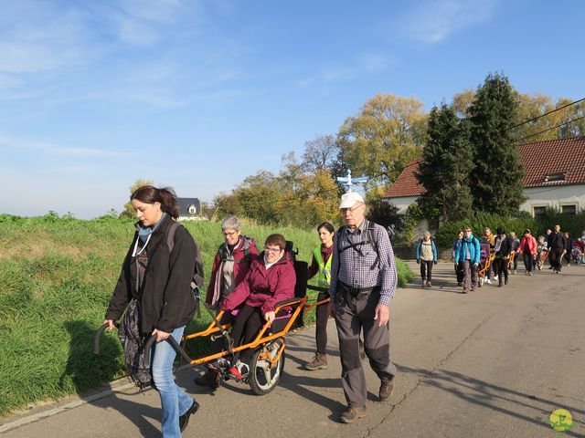 Randonnée joëlettes à Ramillies