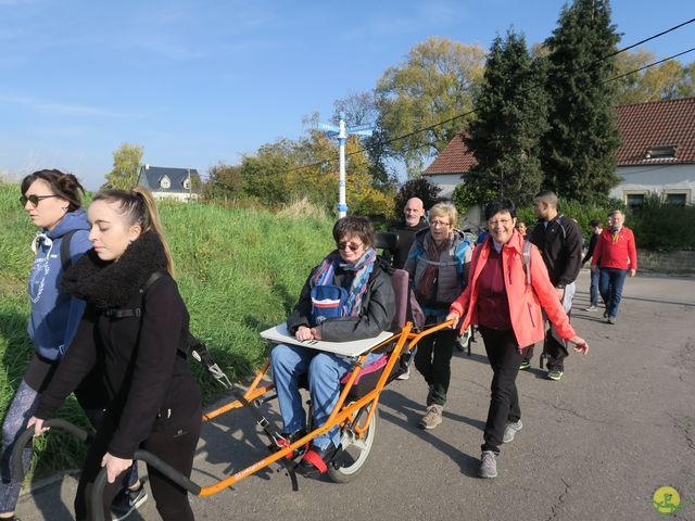 Randonnée joëlettes à Ramillies