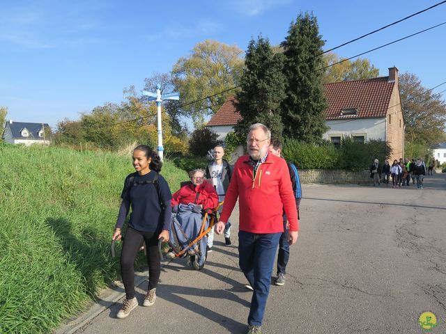 Randonnée joëlettes à Ramillies