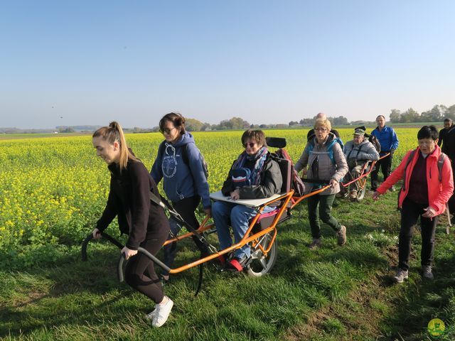 Randonnée joëlettes à Ramillies