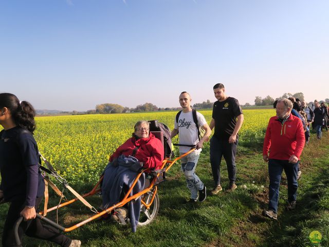 Randonnée joëlettes à Ramillies