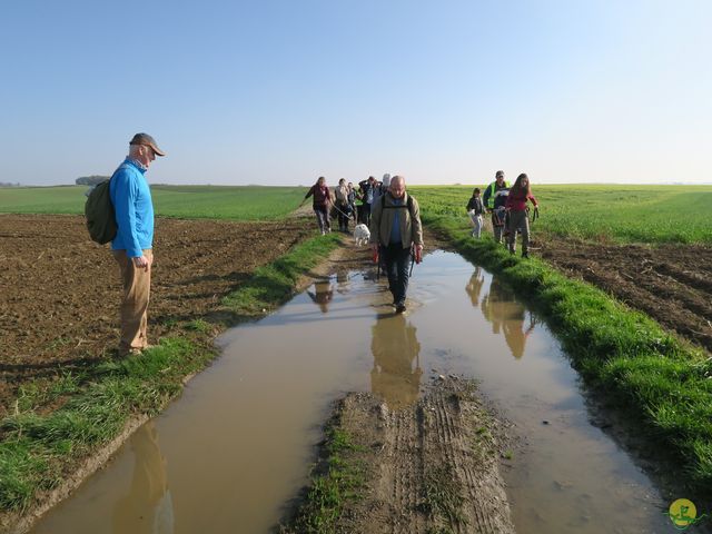 Randonnée joëlettes à Ramillies