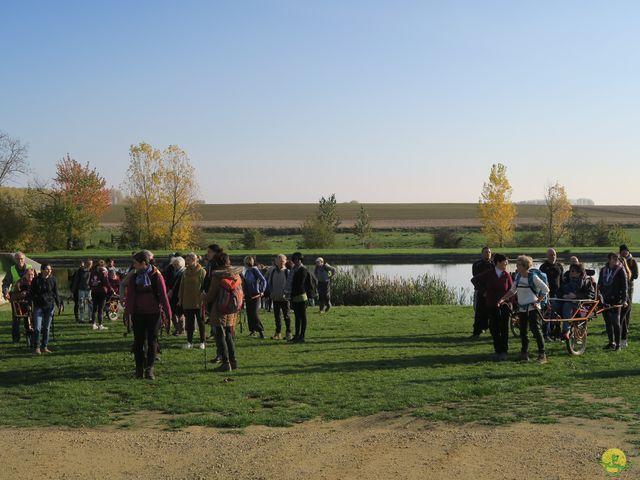 Randonnée joëlettes à Ramillies