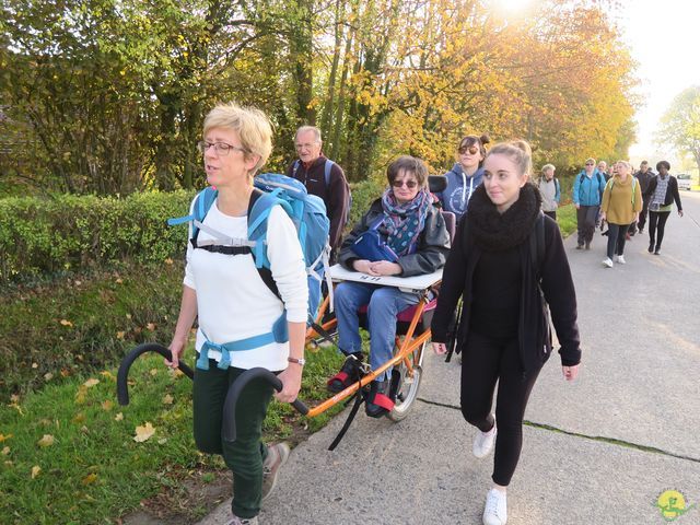 Randonnée joëlettes à Ramillies