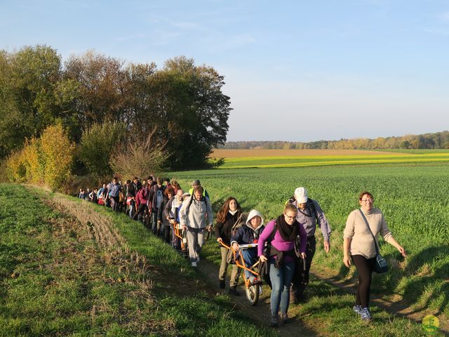 Randonnée joëlettes à Ramillies