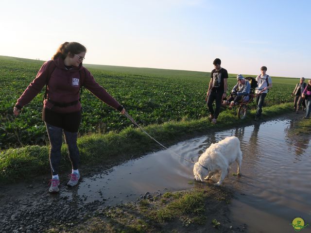 Randonnée joëlettes à Ramillies