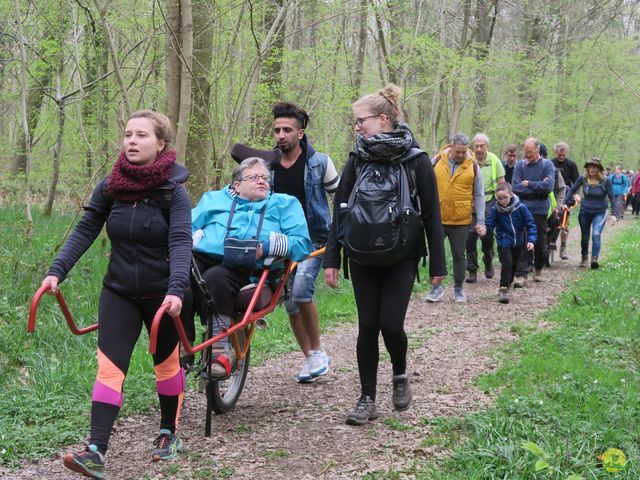 Randonnée joëlettes à Sars-la-Bruyère