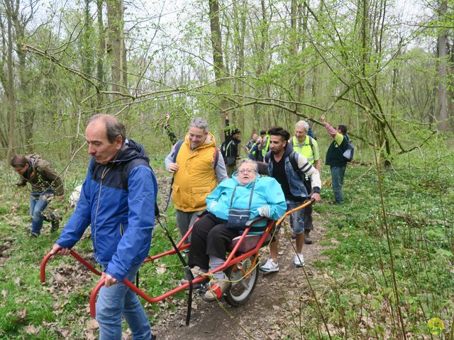 Randonnée joëlettes à Sars-la-Bruyère