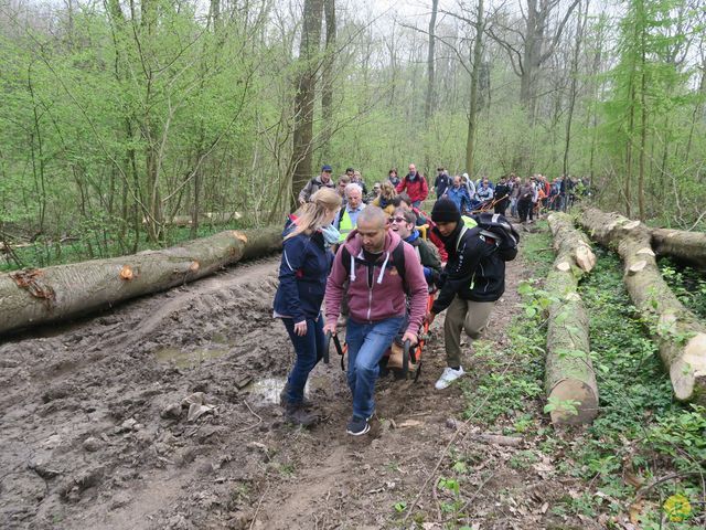 Randonnée joëlettes à Sars-la-Bruyère