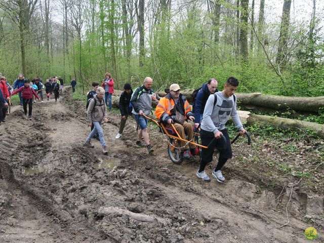 Randonnée joëlettes à Sars-la-Bruyère