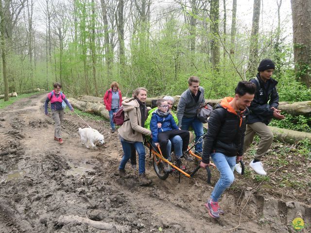 Randonnée joëlettes à Sars-la-Bruyère