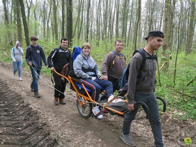 Randonnée joëlettes à Sars-la-Bruyère