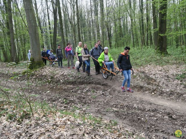 Randonnée joëlettes à Sars-la-Bruyère