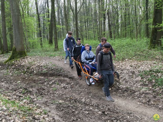 Randonnée joëlettes à Sars-la-Bruyère