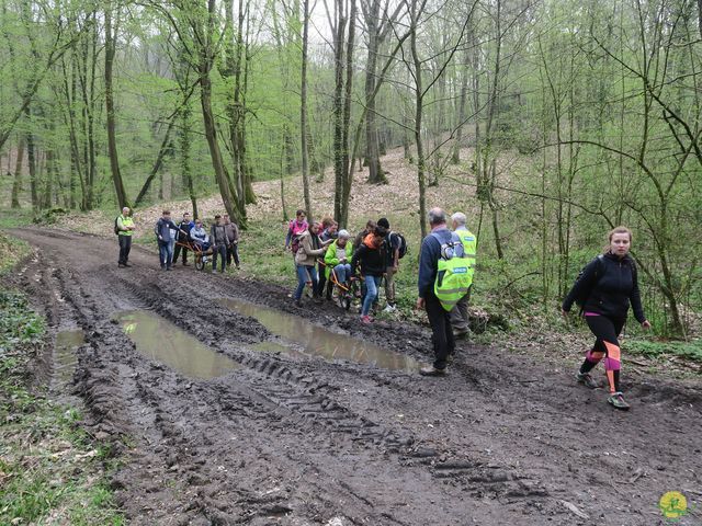 Randonnée joëlettes à Sars-la-Bruyère