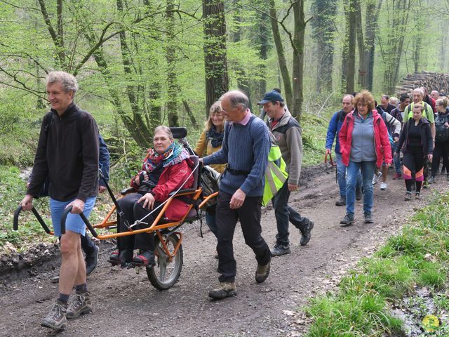 Randonnée joëlettes à Sars-la-Bruyère