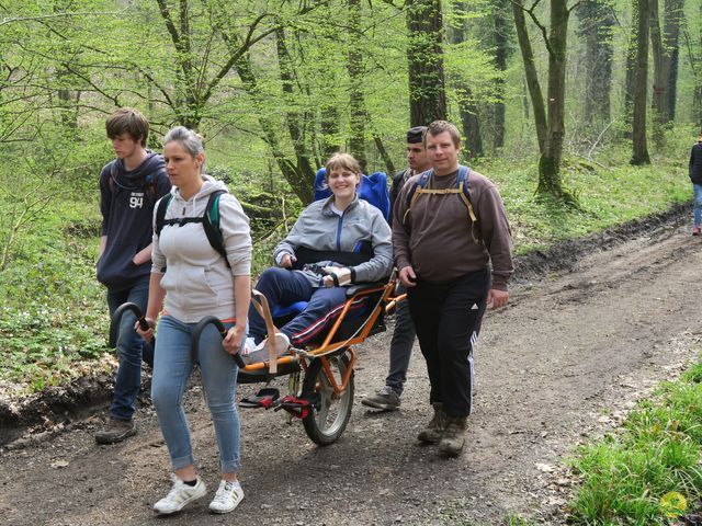 Randonnée joëlettes à Sars-la-Bruyère