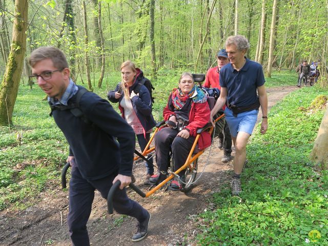 Randonnée joëlettes à Sars-la-Bruyère