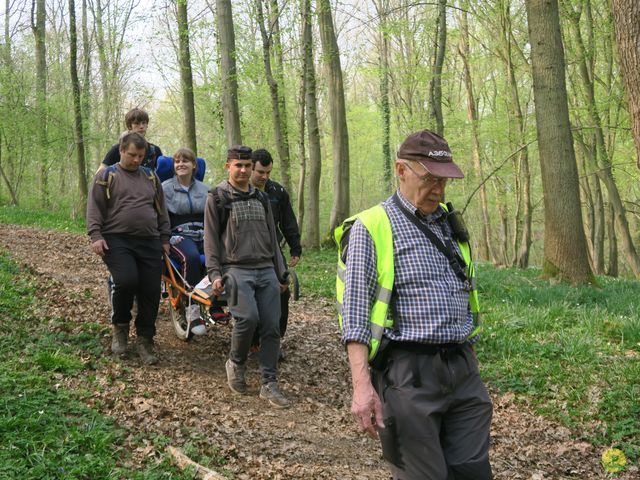 Randonnée joëlettes à Sars-la-Bruyère