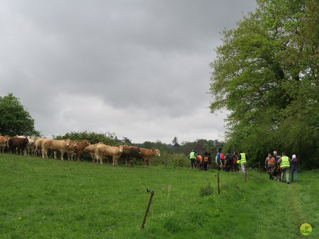 Randonnée joëlettes à Faulx-Les Tombes