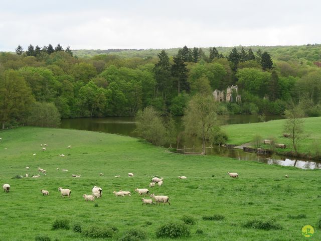 Randonnée joëlettes à Faulx-Les Tombes