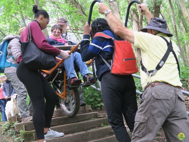 Randonnée joëlettes à Bruxelles