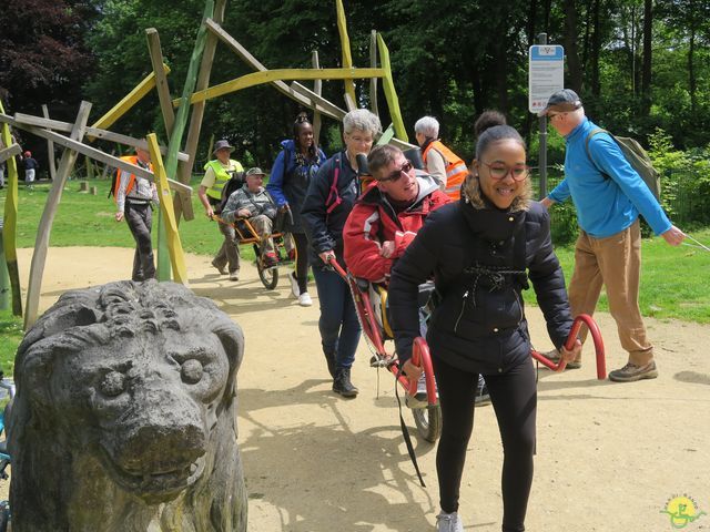 Randonnée joëlettes à Bruxelles