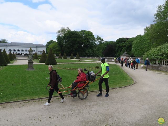 Randonnée joëlettes à Bruxelles