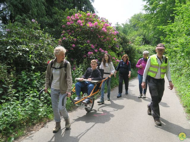 Randonnée joëlettes à Braine-le-Comte