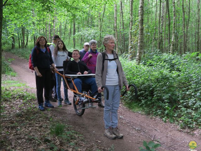 Randonnée joëlettes à Braine-le-Comte