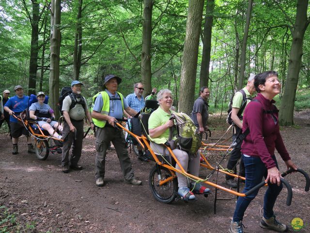 Randonnée joëlettes à Braine-le-Comte