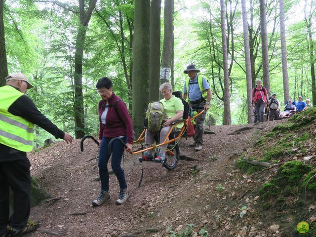 Randonnée joëlettes à Braine-le-Comte