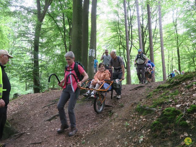 Randonnée joëlettes à Braine-le-Comte