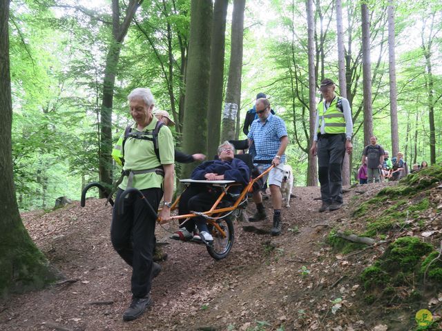 Randonnée joëlettes à Braine-le-Comte