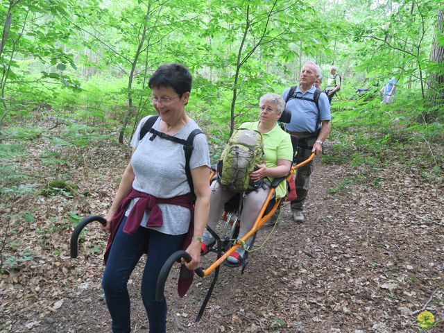 Randonnée joëlettes à Braine-le-Comte