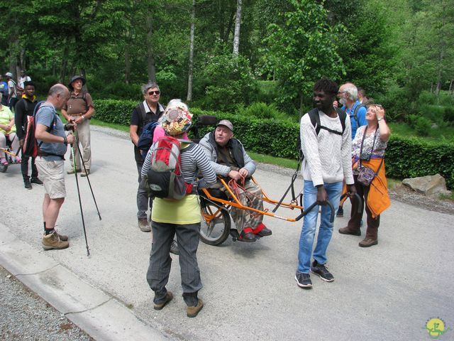 Randonnée joëlettes à Mirwart