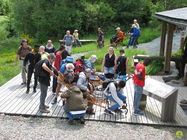 Randonnée joëlettes à Mirwart