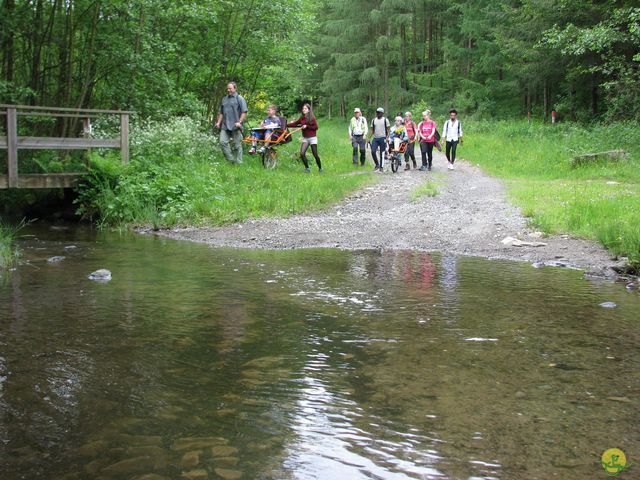 Randonnée joëlettes à Mirwart