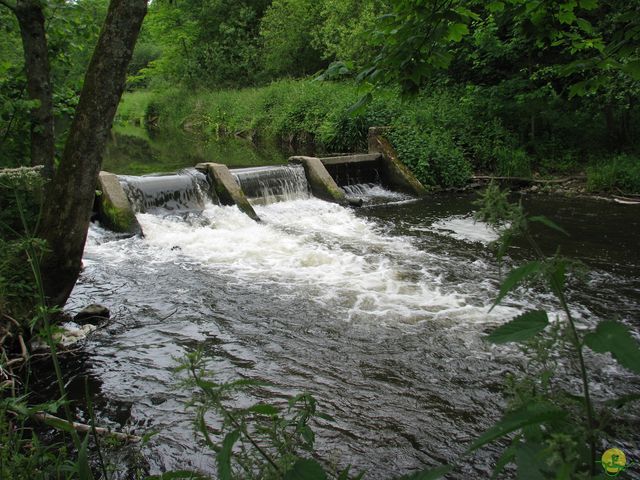 Randonnée joëlettes à Mirwart