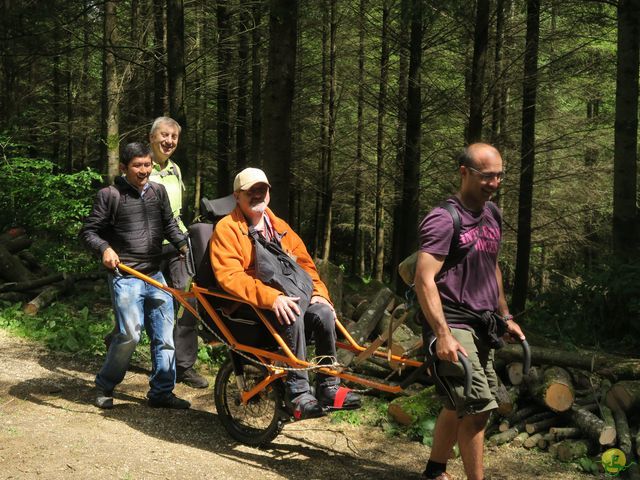 Randonnée joëlettes à Mirwart