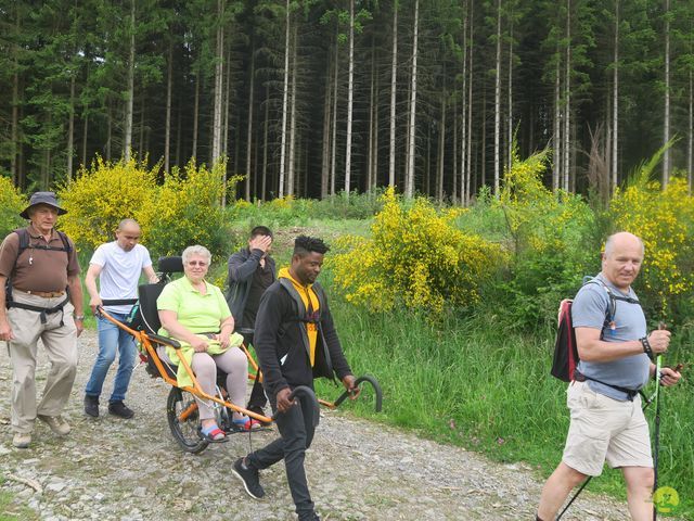 Randonnée joëlettes à Mirwart