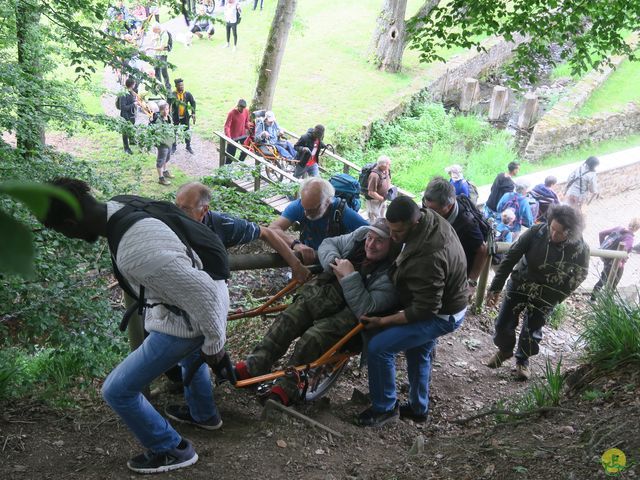 Randonnée joëlettes à Mirwart