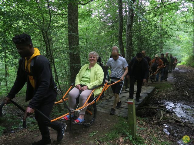 Randonnée joëlettes à Mirwart