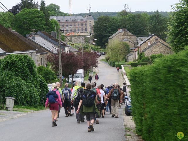 Randonnée joëlettes à Mirwart