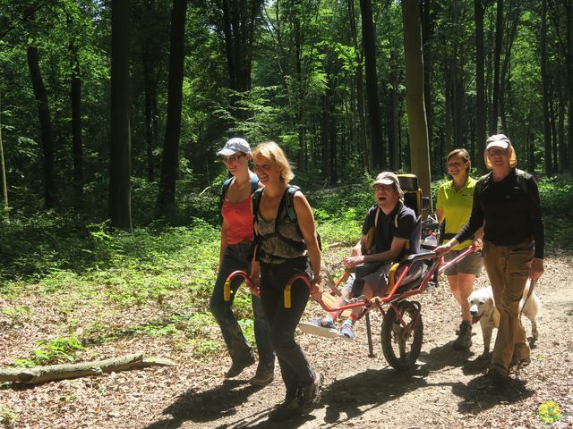 Randonnée joëlettes à Thoricourt