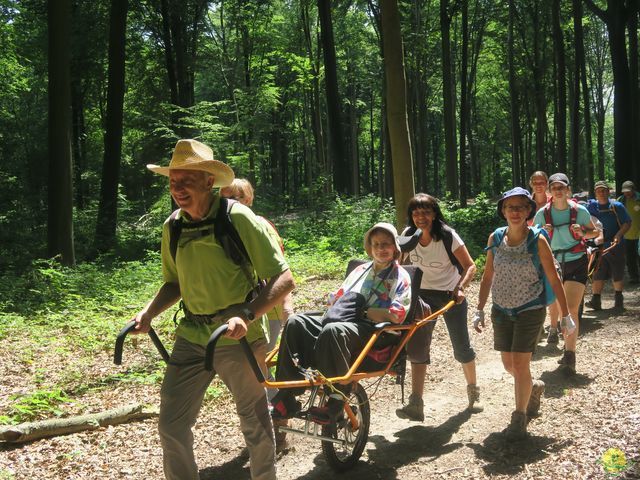 Randonnée joëlettes à Thoricourt