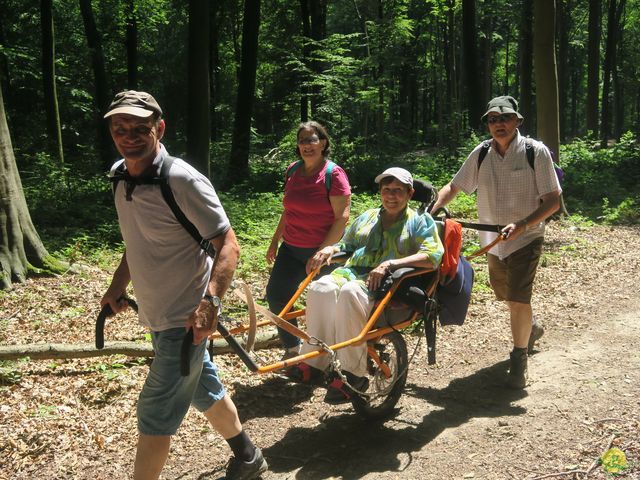 Randonnée joëlettes à Thoricourt