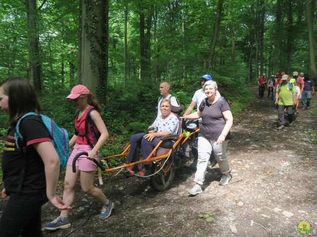 Randonnée joëlettes à Thoricourt